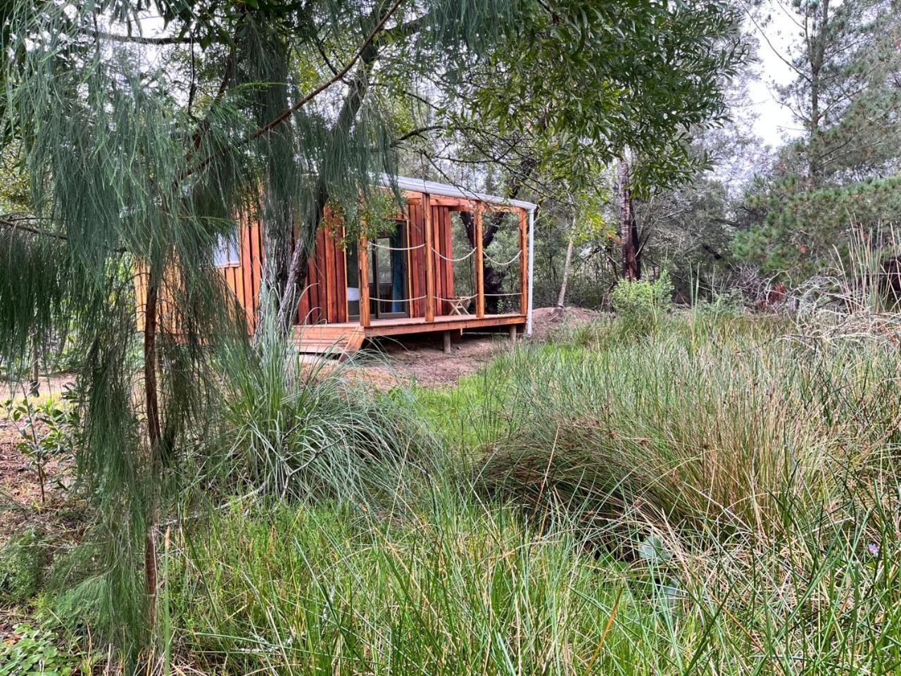 Forest Gate Resort Plettenbergbaai Buitenkant foto