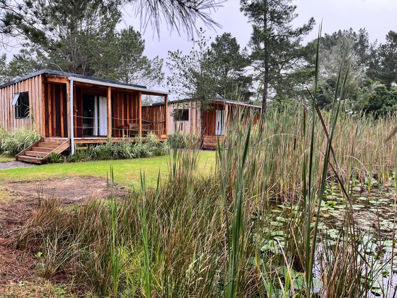 Forest Gate Resort Plettenbergbaai Buitenkant foto