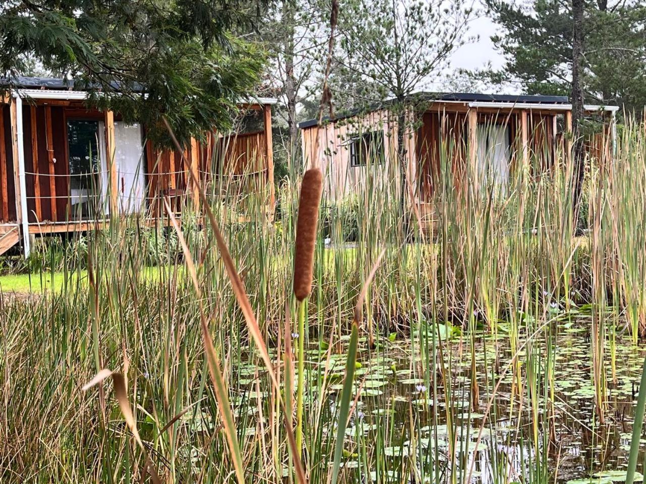 Forest Gate Resort Plettenbergbaai Buitenkant foto