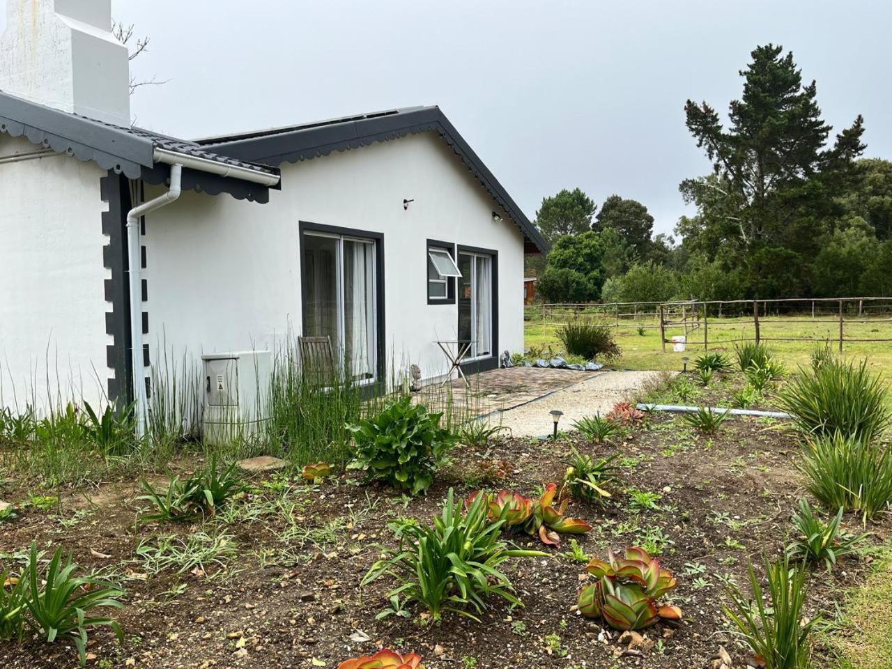 Forest Gate Resort Plettenbergbaai Buitenkant foto