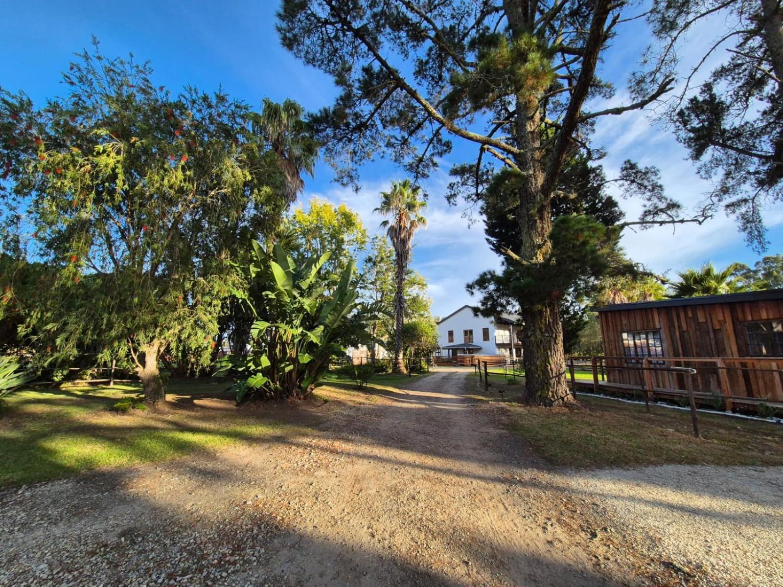 Forest Gate Resort Plettenbergbaai Buitenkant foto